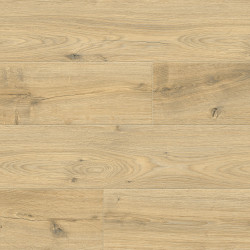 Ламинат Floorwood Paradigma 8335 Дуб Риман