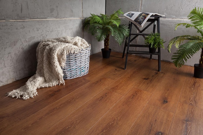 Ламинат Belfloor Universal 8 004