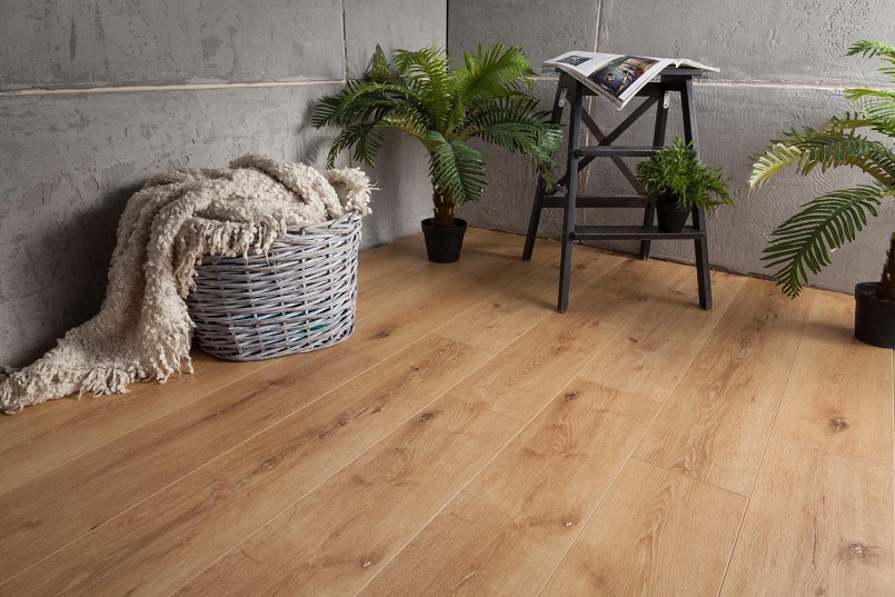 Ламинат Belfloor Universal 8 002